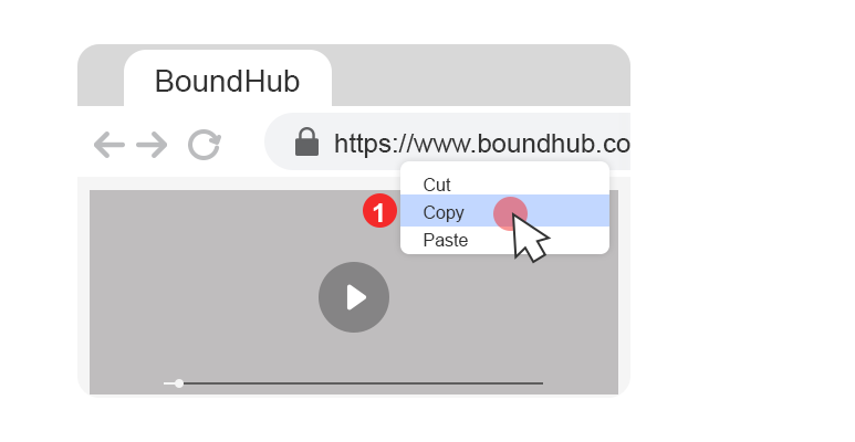 copy boundhub video url