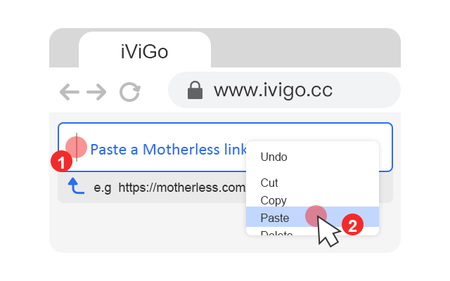 paste motherless video url